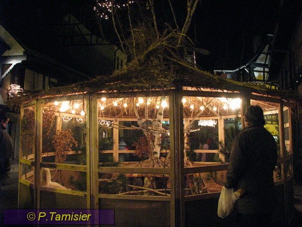 2008-12-14 19-04-34.JPG - Weihnachtszeit in den Vogesen Obernai